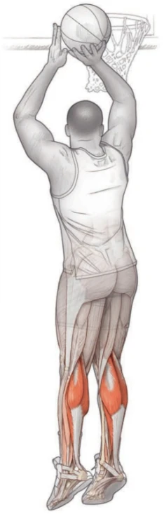 _2